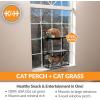 imageKampampH Pet Products EZ Mount Cat Window Perch 3 Level Kitty Sill with Cat Grass Grow Station Triple Stack  Tower Hammock Window Bed for Indoor Home Grown Grass Cat Toys for Bored Indoor Adult Cats