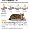 imageKampampH Pet Products Outdoor Cat House ExtraWide Unheated Cat Shelter for Two Olive 265 X 215 X 155 InchesHeated