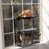 imageKampampH Pet Products EZ Mount Cat Window Perch 3 Level Kitty Sill with Cat Grass Grow Station Triple Stack  Tower Hammock Window Bed for Indoor Home Grown Grass Cat Toys for Bored Indoor Adult Cats