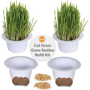imageKampampH Pet Products Cat Grass Grow Station Growing Cup Refills for KampampH EZ Mount Products  Healthy Home Grown Grass Cat Toys for Bored Indoor Adult Cats Farmed in USA NonGMO  Refill ONLY  2 Pack