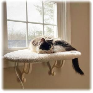 imageKampampH Pet Products Cat Window Perch Kitty Sill with Washable Cushion Bed Cover  Sturdy Cat Window Hammock Holds 40LBS for Large Cats Window Bed Seat for Indoor Pets  UnheatedFleece
