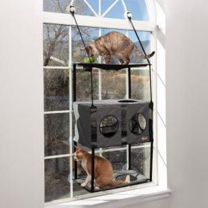 imageKampampH Pet Products EZ Mount Cat Window Perch Townhouse with Cat Grass Grow Station  Multiple Level Tower Hammock Window Bed for Indoor Pets Home Grown Grass Cat Toys for Bored Indoor Adult Cats
