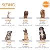 imageKampampH Pet Products Memory Foam Crate Pad Gray XSmall 14 X 22 Inches310L x 210W x 10Th