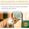 imageKampampH Pet Products CleanFlow Filtered Water Bowl for Cats Granite 80 Ounce Bowl  90 Ounce Reservoir