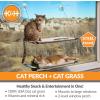 imageKampampH Pet Products Window Lounger Cat Perch with Cat Grass Grow Station Double Level Natural 23 X 12 Inches