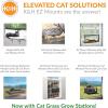 imageKampampH Pet Products Window Lounger with Oat Grass Cat Window Perch for Large Cats Farmed in USA NonGMO Grass Kit Sturdy Kitty Sill Window Hammock Bed Steel Frame Sturdy Suction Cups  23 X 12in