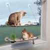 imageKampampH Pet Products Window Lounger Cat Perch with Cat Grass Grow Station Double Level Natural 23 X 12 Inches