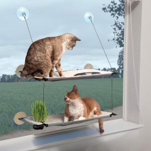 imageKampampH Pet Products Window Lounger Cat Perch with Cat Grass Grow Station Double Level Natural 23 X 12 Inches
