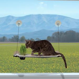 imageKampampH Pet Products Window Lounger with Oat Grass Cat Window Perch for Large Cats Farmed in USA NonGMO Grass Kit Sturdy Kitty Sill Window Hammock Bed Steel Frame Sturdy Suction Cups  23 X 12in