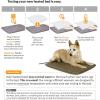 imageKampampH Pet Products LectroSoft Orthopedic Outdoor Heated Dog and Cat Bed for Medium Dogs or Big Cats SoftFlexible Safety Listed Warming Pad Waterproof Washable Cover  Medium 24 X 19in Gray 40WMedium 19 X 24 Inches