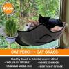 imageKampampH Pet Products Cat Window Perch Bundle  KampampH EZ Mount Window Mounted Cat Perch with Kitty Face  KampampH EZ Mount Cat Grass Grow Station for Window with 1 Grass Refill  Happy Cat