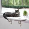 imageKampampH Pet Products Heated Cat Window Perch  Cat Grass Planter Grow Kit Bundle  Warming Kitty Hammock for Window Includes Perch and Grass Station with NonGMO Seeds Soil and Planter