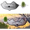 imageKampampH Pet Products Cat Window Perch Bundle  KampampH EZ Mount Window Mounted Cat Perch with Kitty Face  KampampH EZ Mount Cat Grass Grow Station for Window with 1 Grass Refill  Happy Cat