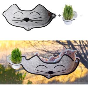 imageKampampH Pet Products Cat Window Perch Bundle  KampampH EZ Mount Window Mounted Cat Perch with Kitty Face  KampampH EZ Mount Cat Grass Grow Station for Window with 1 Grass Refill  Happy Cat
