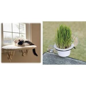 imageKampampH Pet Products Heated Cat Window Perch  Cat Grass Planter Grow Kit Bundle  Warming Kitty Hammock for Window Includes Perch and Grass Station with NonGMO Seeds Soil and Planter