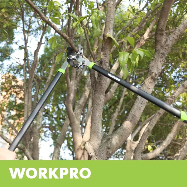 WORKPRO Anvil Lopper 32 Inch Branch Cutter with Compound Action Heavy Duty Garden Tree Trimmer with 2 Cutting Capacity Chops Thick Branches with EaseWORKPRO Anvil Lopper 32 Inch Branch Cutter with Compound Action Heavy Duty Garden Tree Trimmer with 2 Cutting Capacity Chops Thick Branches with Ease