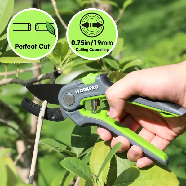 WORKPRO Anvil Pruning Shears 8 Professional Gardening Hand Pruner with SK5 Steel Sharp Blades Ideal Gardening Tool for Cutting and Trimming GreenAnvil