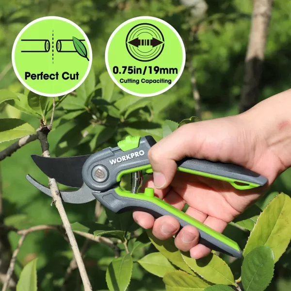 WORKPRO Anvil Pruning Shears 8 Professional Gardening Hand Pruner with SK5 Steel Sharp Blades Ideal Gardening Tool for Cutting and Trimming GreenBypass