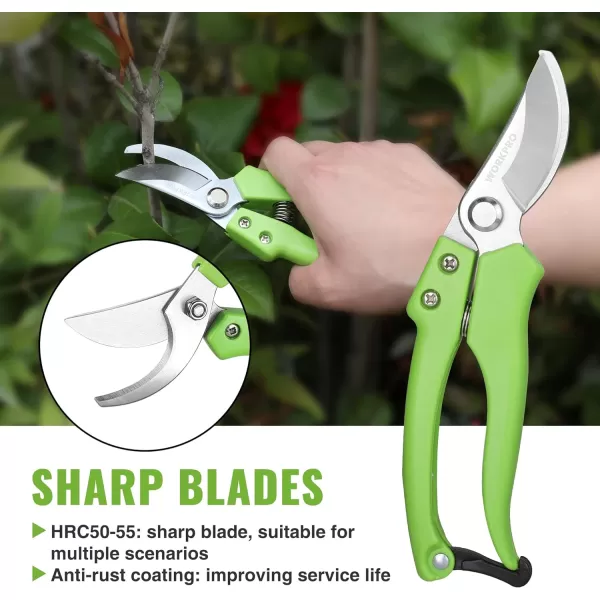 WORKPRO Garden Clippers 2 Pcs Flower Scissors Include 8 Bypass Pruner and 85 Straight Blade Shear Professional Pruning Shears Kit for Cutting Flowers Trimming Plants Fruits PickingWORKPRO Garden Clippers 2 Pcs Flower Scissors Include 8 Bypass Pruner and 85 Straight Blade Shear Professional Pruning Shears Kit for Cutting Flowers Trimming Plants Fruits Picking