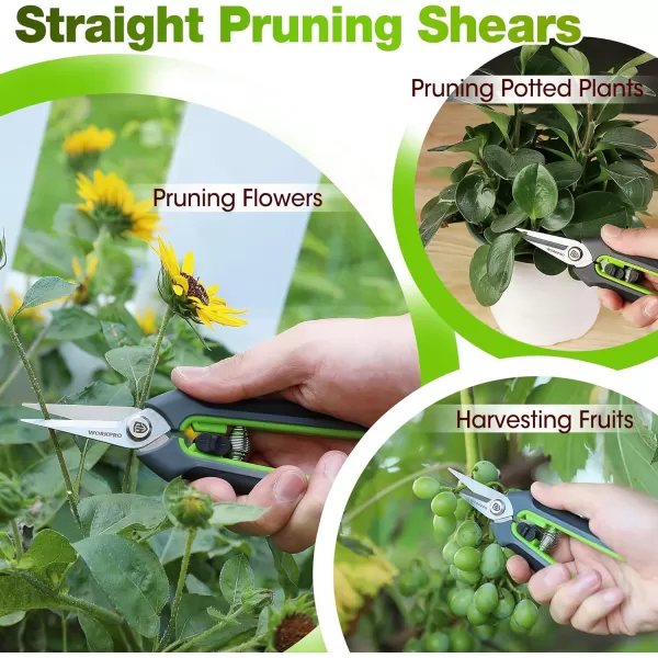 WORKPRO Garden Pruning Shears 2 Pack 8 Bypass Pruning Shears and 625 Straight Garden Scissors Premium Plant Shears Garden Clippers Hand Tools for Cutting Flowers Trimming Plants Picking FruitsWORKPRO Garden Pruning Shears 2 Pack 8 Bypass Pruning Shears and 625 Straight Garden Scissors Premium Plant Shears Garden Clippers Hand Tools for Cutting Flowers Trimming Plants Picking Fruits