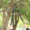 image:imageWORKPRO Extendable Anvil Lopper for Gardening 2537 Branch Cutter with 16 Cutting Capacity HeavyDuty Pruning Shear Featuring Gear System for Tree Trimming Handheld Garden Shear with Sharp Blade28 Lopper