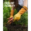 image:imageWORKPRO Cordless Grass Shear amp Shrubbery Trimmer amp WORKPRO Gardening Gloves