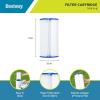imageBestway 58095E Type IV or Type B Replacement Cartridge for 2500 Gallon Per Hour Filter Pumps to Keep Pool Water Clean and ClearFilter  POOLSPAWATERTREATMENT 52031