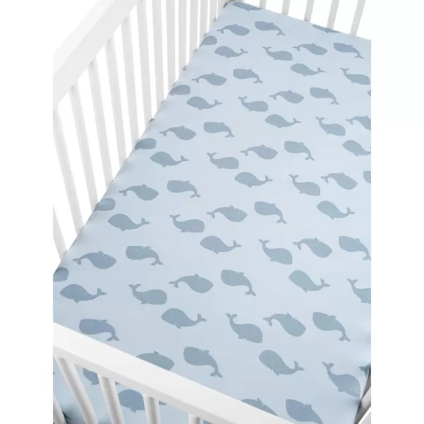 Whales/Stripe
