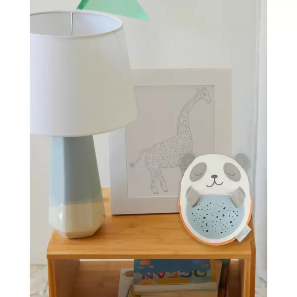 Simple Joys by Carter's Unisex Kid's Soft Soother