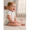 image:imageSimple Joys by Carters Baby Boys 6Pack ShortSleeve BodysuitMulticolorAnchorDinosaurStripeWhale