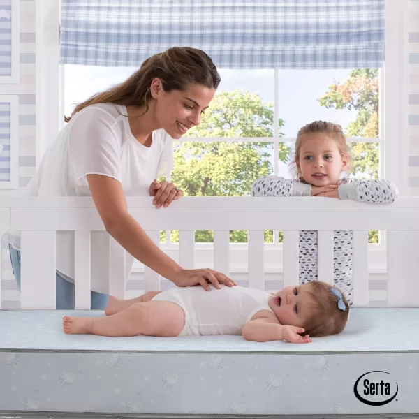 Heartland 4-in-1 Convertible Crib - Greenguard Gold Certified, Charcoal Grey