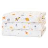 imageDelta Children 100 Cotton Flannel Baby Receiving Blankets for Girls and Boys  30x30 Inches Pack of 2 Pink FloralSpace Exploration