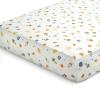 imageDelta Children 100 Cotton Flannel Baby Receiving Blankets for Girls and Boys  30x30 Inches Pack of 2 Pink FloralSpace Exploration