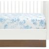 imageDelta Children 100 Organic Jersey Cotton Baby Receiving Blankets for Girls and Boys  30x40 Inches  GOTS Certified Pack of 2 Sea LifeBlue Botanicals