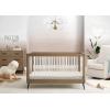 imageDelta Children Sloane 4in1 Acrylic Convertible Crib  Includes Conversion Rails Bianca White wMelted BronzeAcornMatte Black