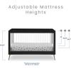imageDelta Children Sloane 4in1 Acrylic Convertible Crib  Includes Conversion Rails Bianca White wMelted BronzeBlackMelted Bronze