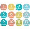 imageDelta Children Milestone Baby Blanket  Monthly Blanket for Pictures  Photo Blanket for Newborns MoonSpace