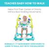 imageDelta Children Deluxe Bounceroo Learn2Walk Balancer Baby Walker Blue Ocean AdventureBlue Ocean Adventure