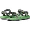 Centipede Vibrant Green