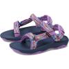 Mesh Iris Orchid