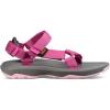 Speck Raspberry Rose