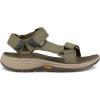 Burnt Olive