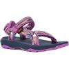 Mesh Iris Orchid