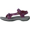 Red Red Plum Rpl