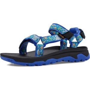 image:imageTeva Girls Hurricane Xlt JrOcean Creatures Dazzling Blue