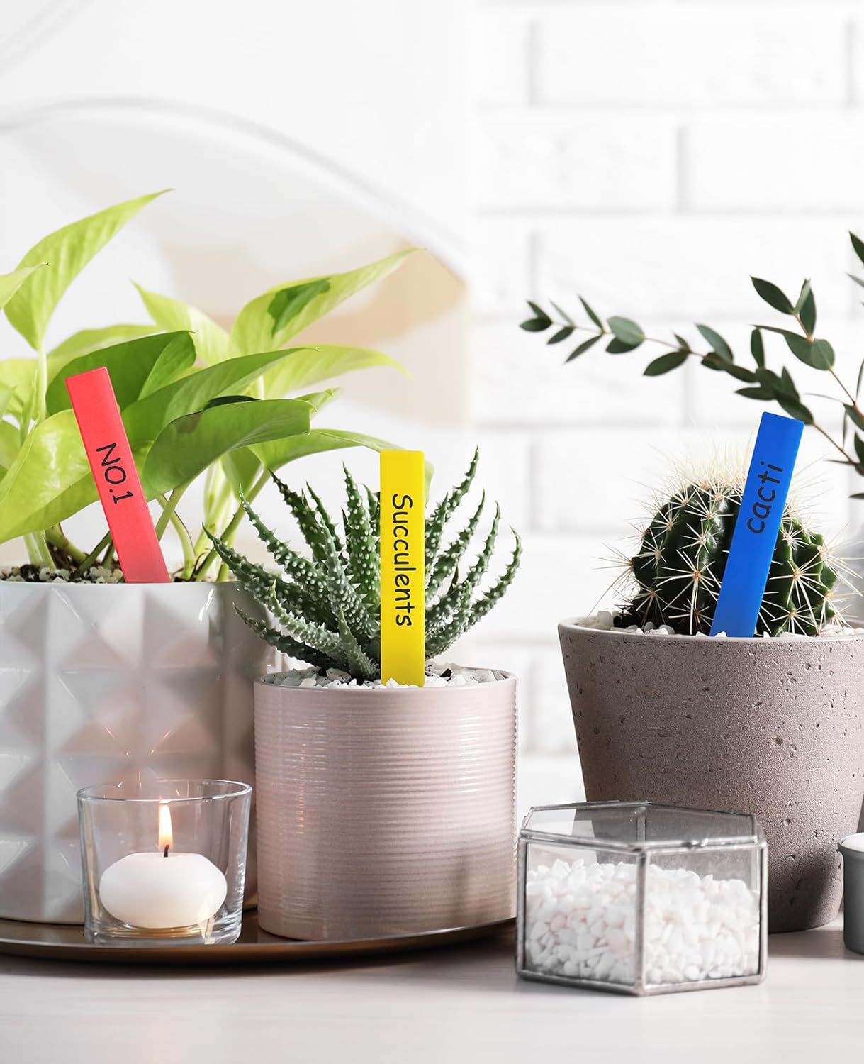 Homenote 200 Pcs 4" Plastic Plant Labels Waterproof Plant Tags for Seedling, Vegetable Gardening Tags with Permanet Marking Pen, Multicolor
