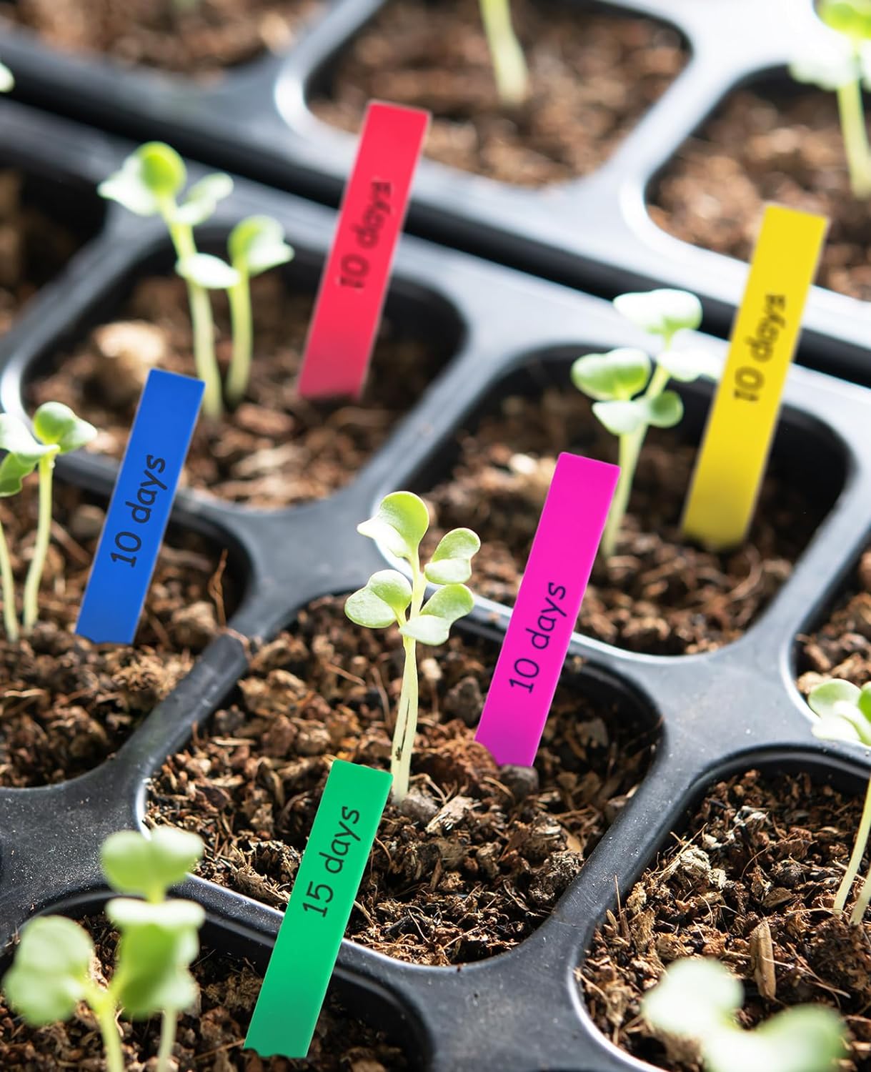 Homenote 200 Pcs 4" Plastic Plant Labels Waterproof Plant Tags for Seedling, Vegetable Gardening Tags with Permanet Marking Pen, Multicolor