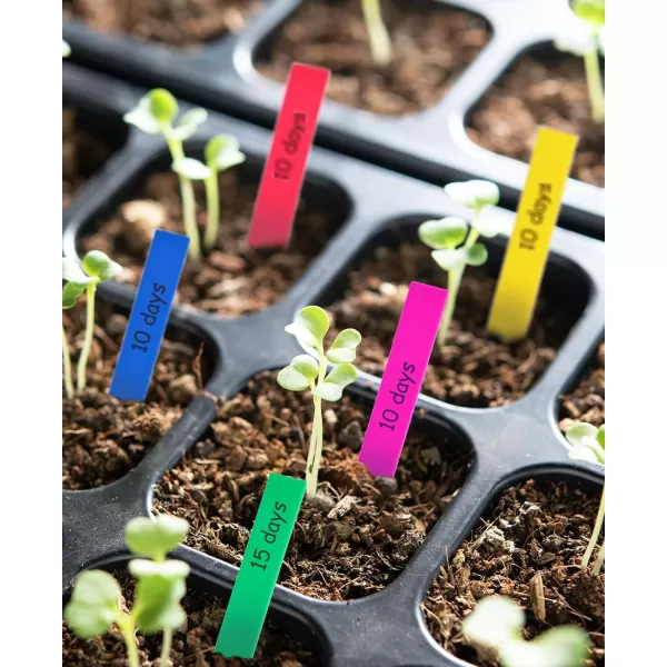 Homenote 200 Pcs 4" Plastic Plant Labels Waterproof Plant Tags for Seedling, Vegetable Gardening Tags with Permanet Marking Pen, Multicolor