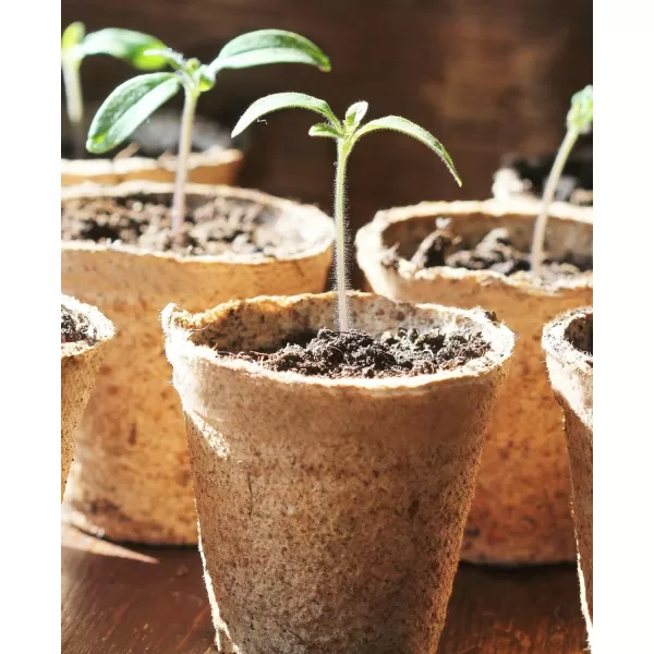 Homenote Peat Pots, 120 Pcs 3.15 Inch Seed Starting Pots with Drainage Holes Round Nursery Pot, Plants Pots with Bonus 20 Plant Labels