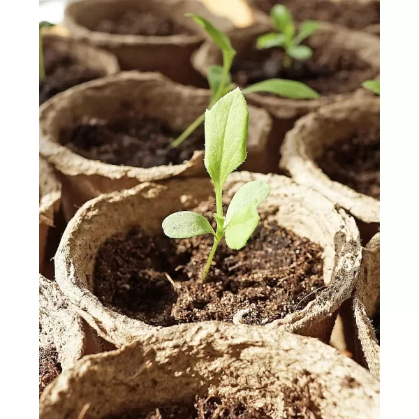 Homenote Peat Pots, 60 Pcs 4 Inch Seed Starting Pots with Drainage Holes Round Nursery Pot, Plants Pots with Bonus 20 Plant Labels